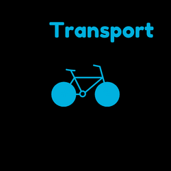Transport link