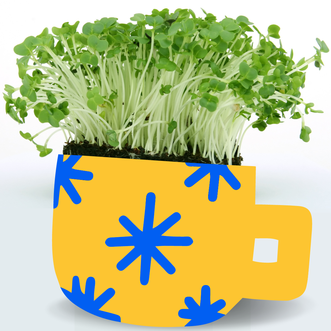Cress in a cup png